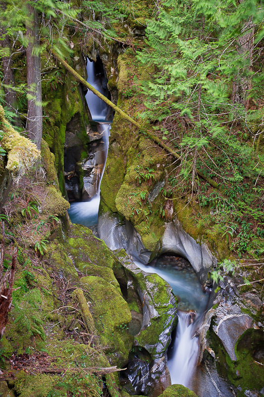 Ladder Creek Falls, County, Washington Northwest Waterfall Survey